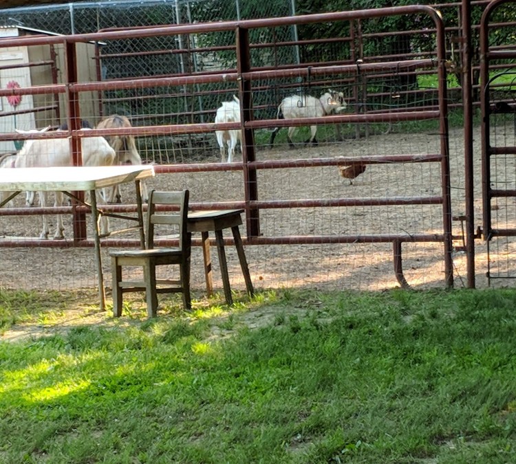 Pony Time Ranch & Mobile Petting Zoo (Lowellville,&nbspOH)